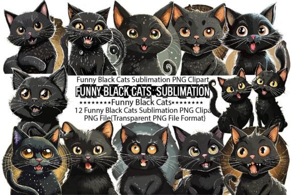 Funny Black Cats Sublimation Bundle Review